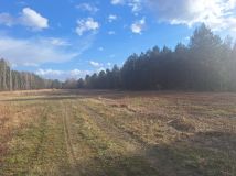 Działka inwestycyjna Żanęcin, Biesiadna. Zdjęcie 2