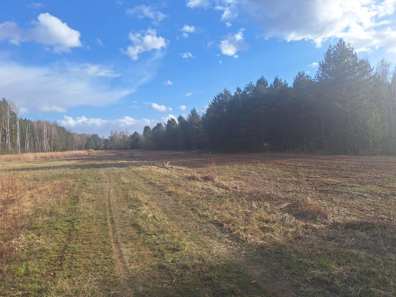 Działka inwestycyjna Żanęcin, Biesiadna. Zdjęcie 3