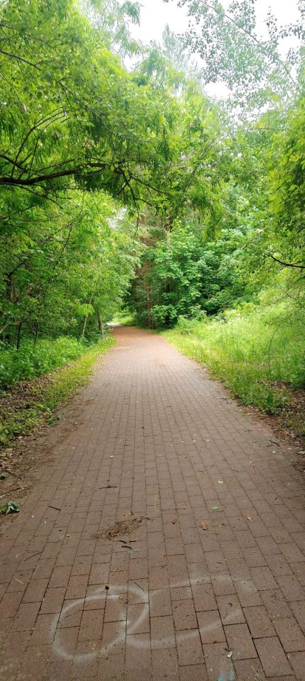 Działka budowlana Skarszewy, ul. Nad Stawem. Zdjęcie 4
