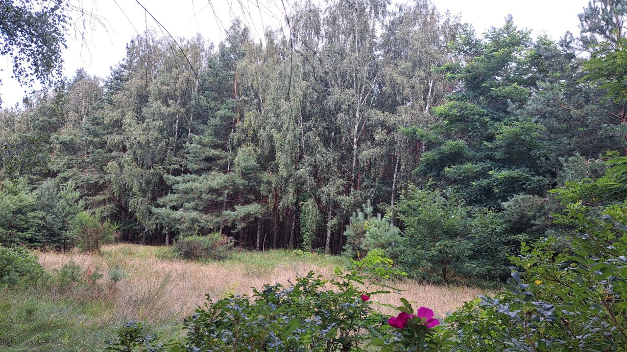 Działka budowlana Strzygi. Zdjęcie 3