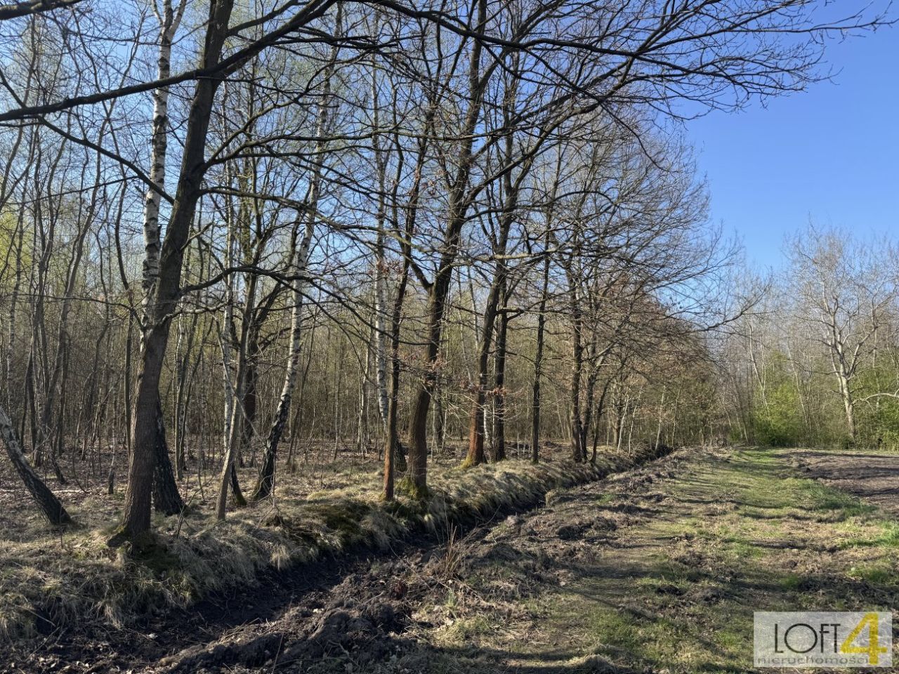 Działka budowlana Radłów. Zdjęcie 12