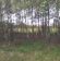 Działka leśna Rostki. Zdjęcie 7