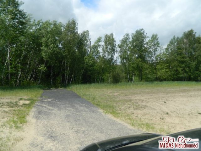 Działka rolna Kowal. Zdjęcie 6