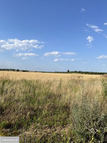 Działka budowlana Kębłowice. Zdjęcie 1