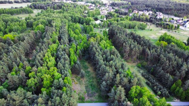 Działka budowlana Panki. Zdjęcie 8