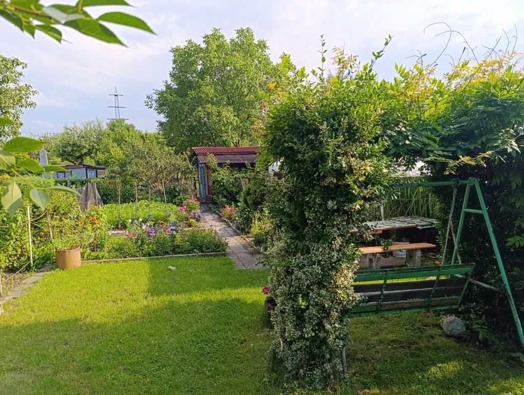 Działka rod Zabrze. Zdjęcie 2