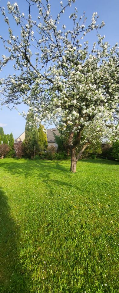 bliźniak, 4 pokoje Krośnica, ul. Cicha. Zdjęcie 16
