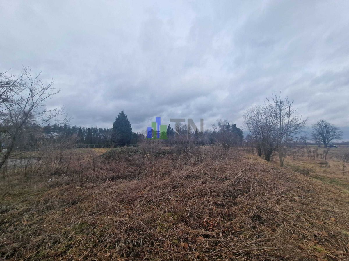 Działka rolna Ratowice. Zdjęcie 1