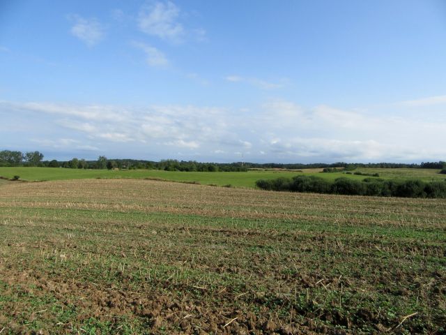 Działka rolna Strużyna. Zdjęcie 1