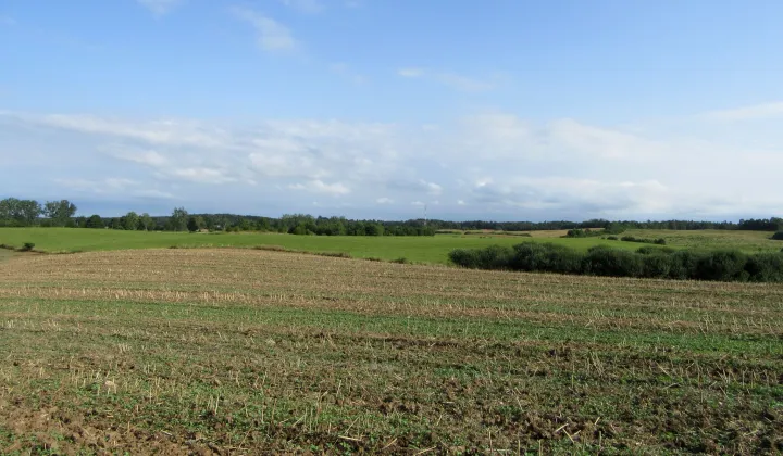 Działka rolna Strużyna