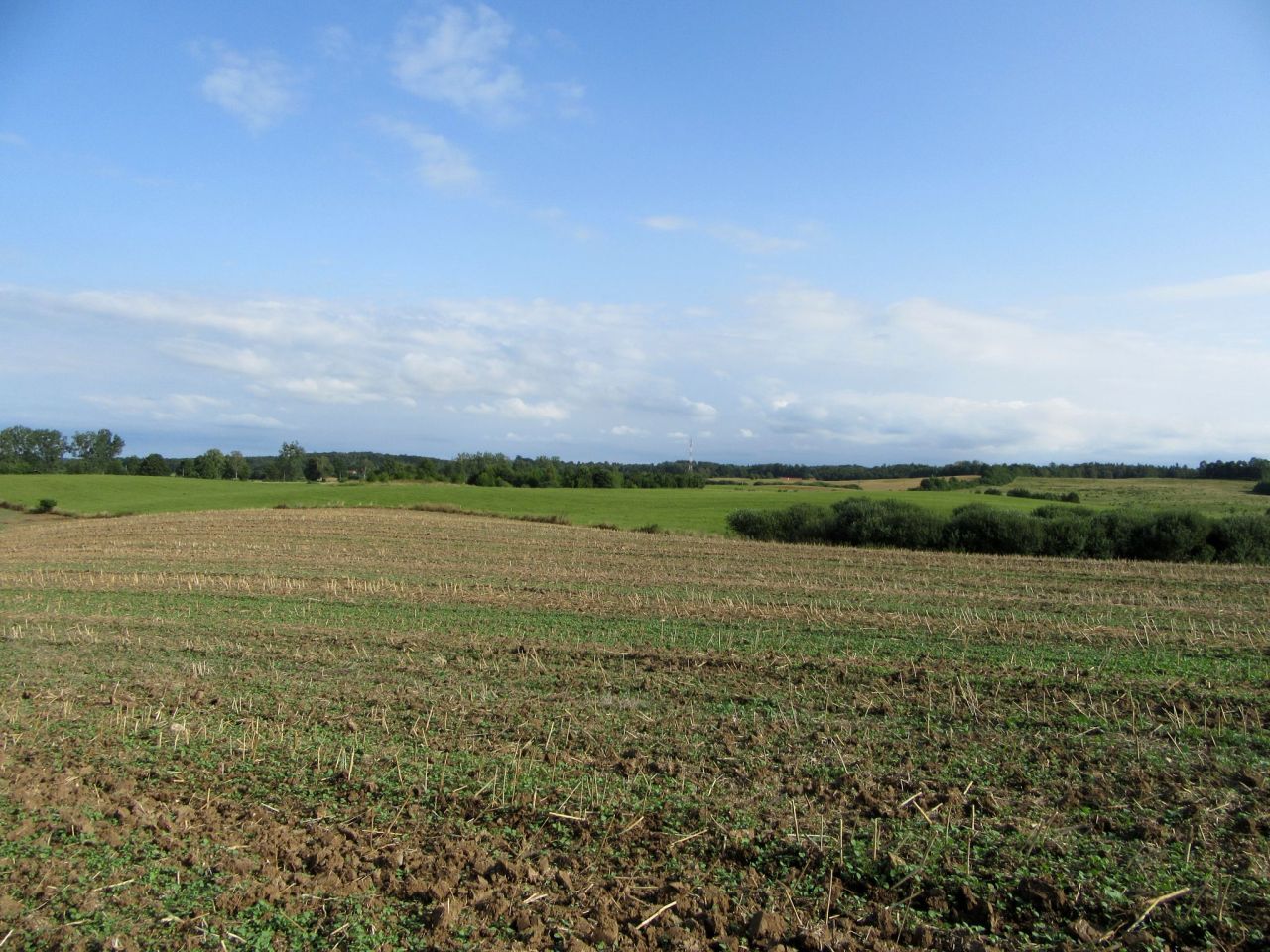 Działka rolna Strużyna. Zdjęcie 1
