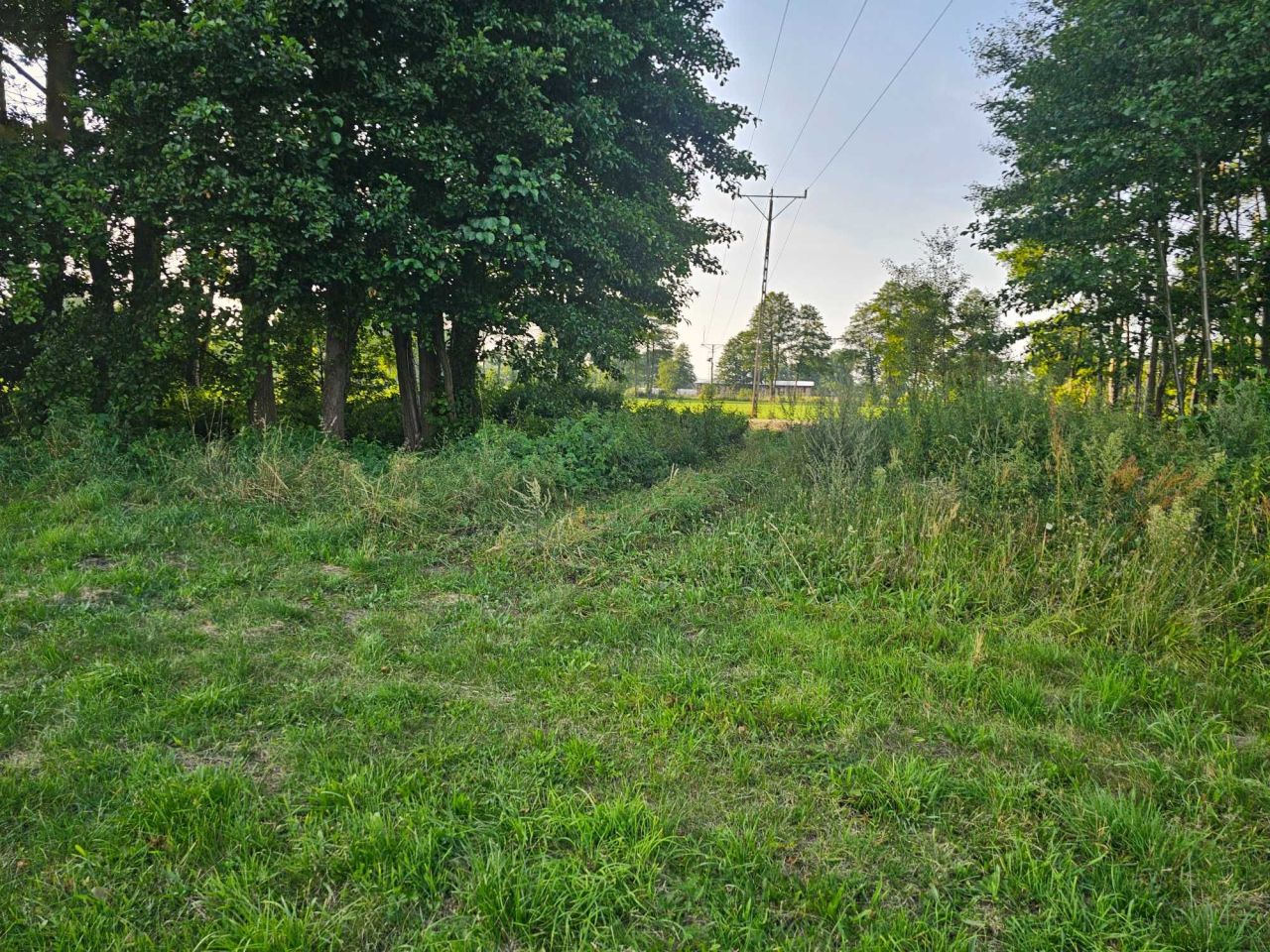 Działka budowlana Bukowiec. Zdjęcie 7