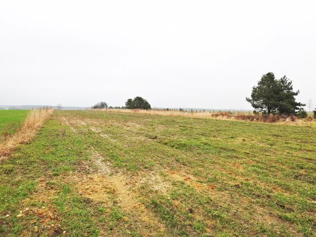 Działka rolna Ożarowice, ul. Tarnogórska. Zdjęcie 3