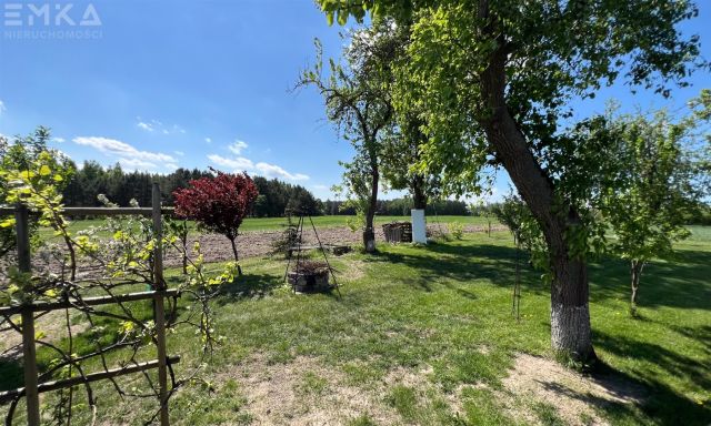 dom wolnostojący, 6 pokoi Stary Jasiniec. Zdjęcie 13