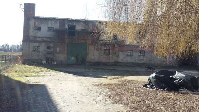 Działka budowlana Lewin Brzeski. Zdjęcie 1