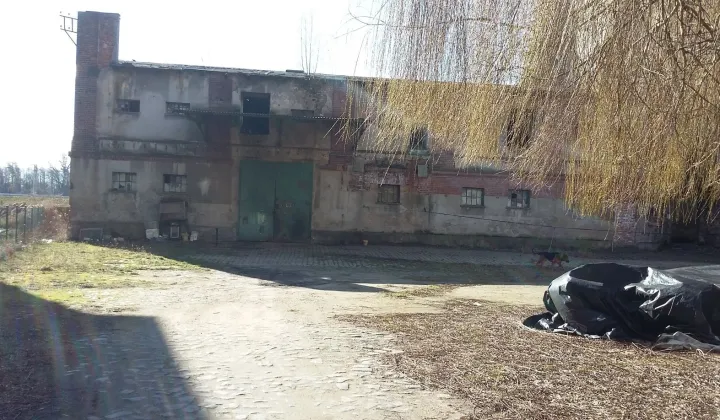 Działka budowlana Lewin Brzeski