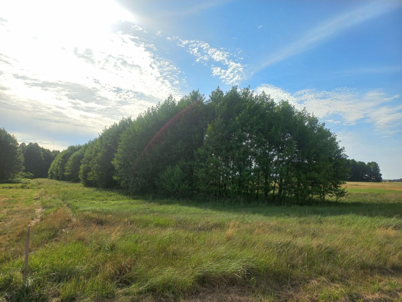 Działka rolna Huta. Zdjęcie 1