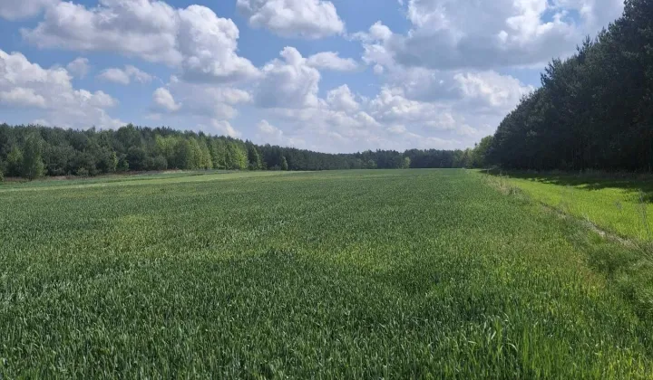 Działka rolno-budowlana Podgórze