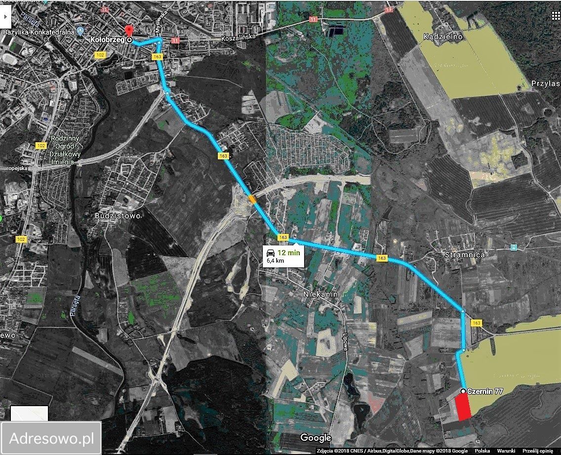 Działka siedliskowa Czernin. Zdjęcie 8