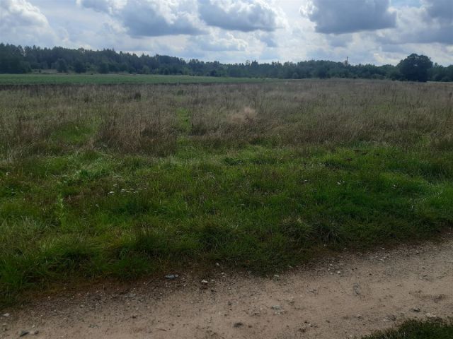 Działka rolna Łask. Zdjęcie 4