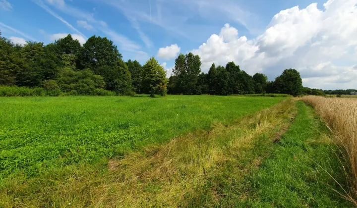 Działka budowlana Białobrzegi