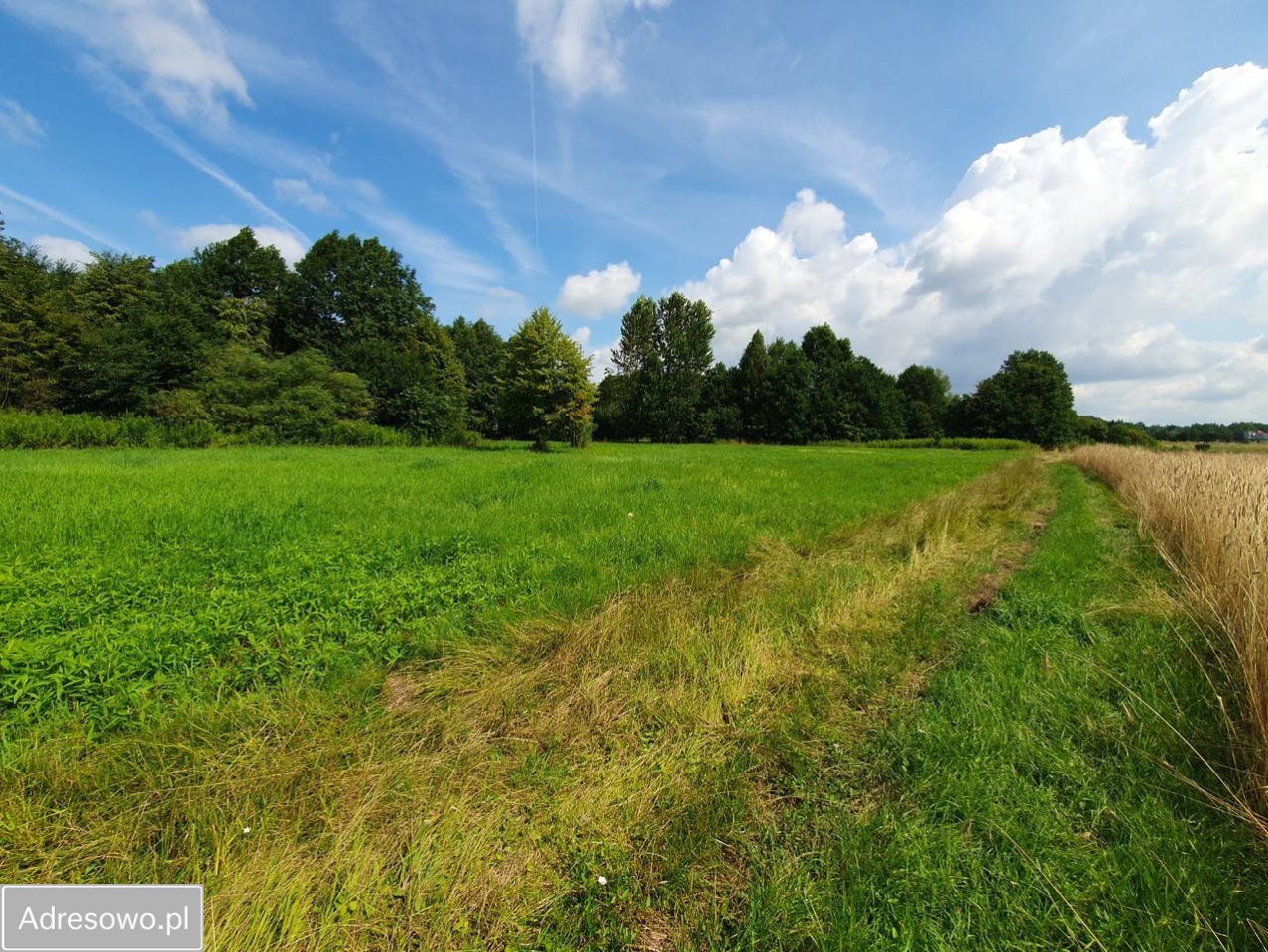 Działka budowlana Białobrzegi