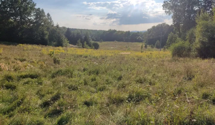 Działka budowlana Muchów