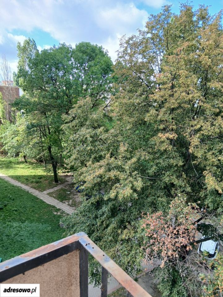 Mieszkanie 3-pokojowe Warszawa Praga-Południe, ul. Bliska. Zdjęcie 12