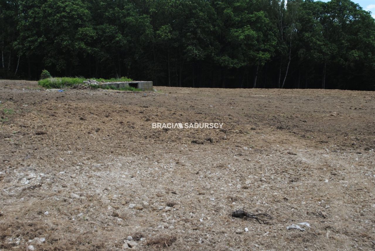 Działka rolno-budowlana Jankówka. Zdjęcie 6