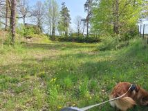 Działka rekreacyjna Kiełpiny. Zdjęcie 1