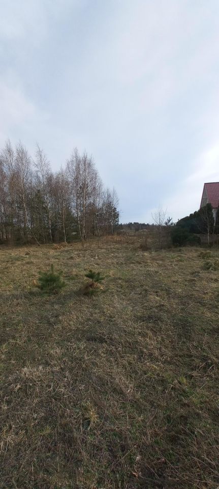 Działka budowlana Łosienice Dąbrowa. Zdjęcie 2