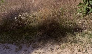 Działka budowlana Lubosz, ul. Słoneczna Dolina