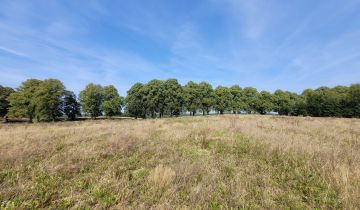 Działka budowlana Gościno, ul. Lipowa