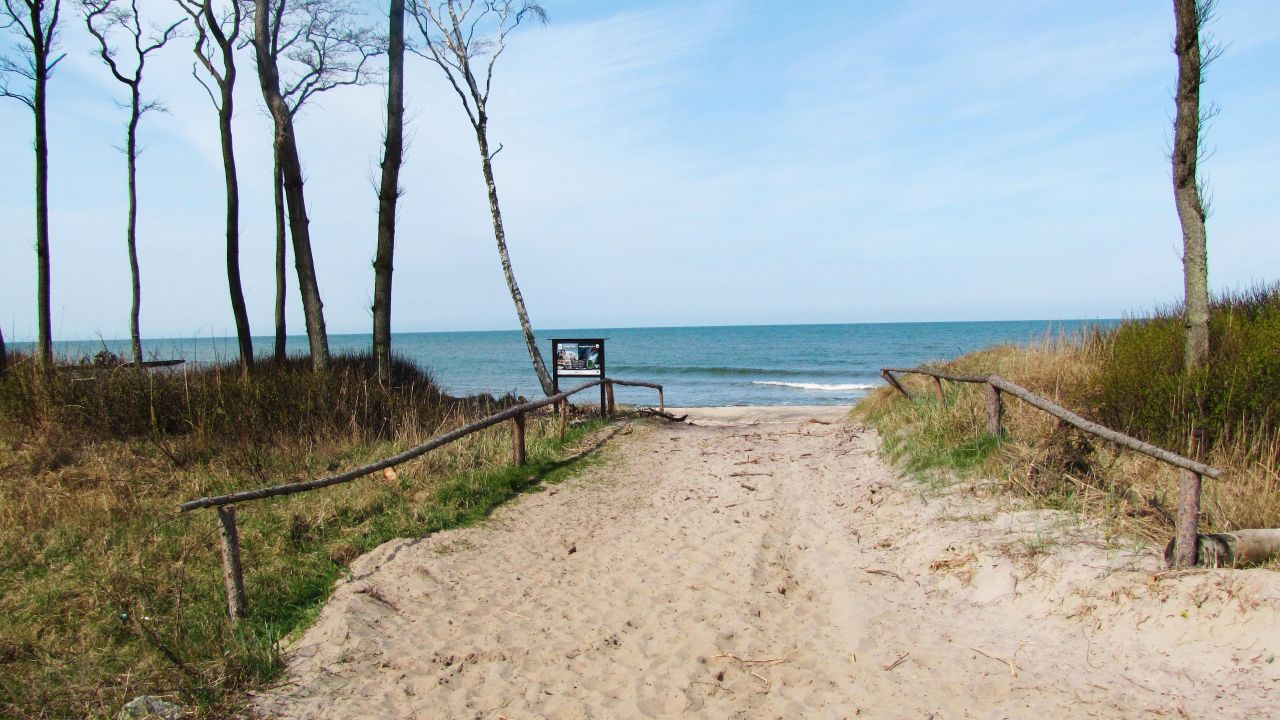 Nieruchomość komercyjna Kopań. Zdjęcie 13