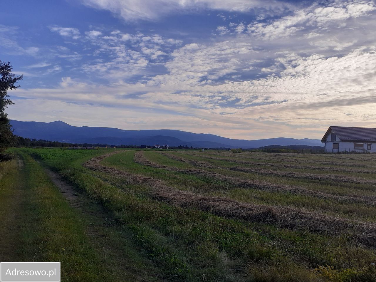 Działka budowlana Łomnica, ul. Klonowa. Zdjęcie 7