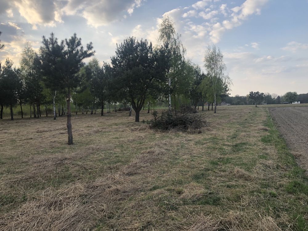 Działka siedliskowa Ciepłe Pierwsze, ul. Polnych Kwiatów. Zdjęcie 6