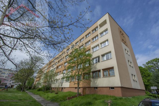 Mieszkanie 4-pokojowe Lubań, ul. Kazimierza Wielkiego. Zdjęcie 15