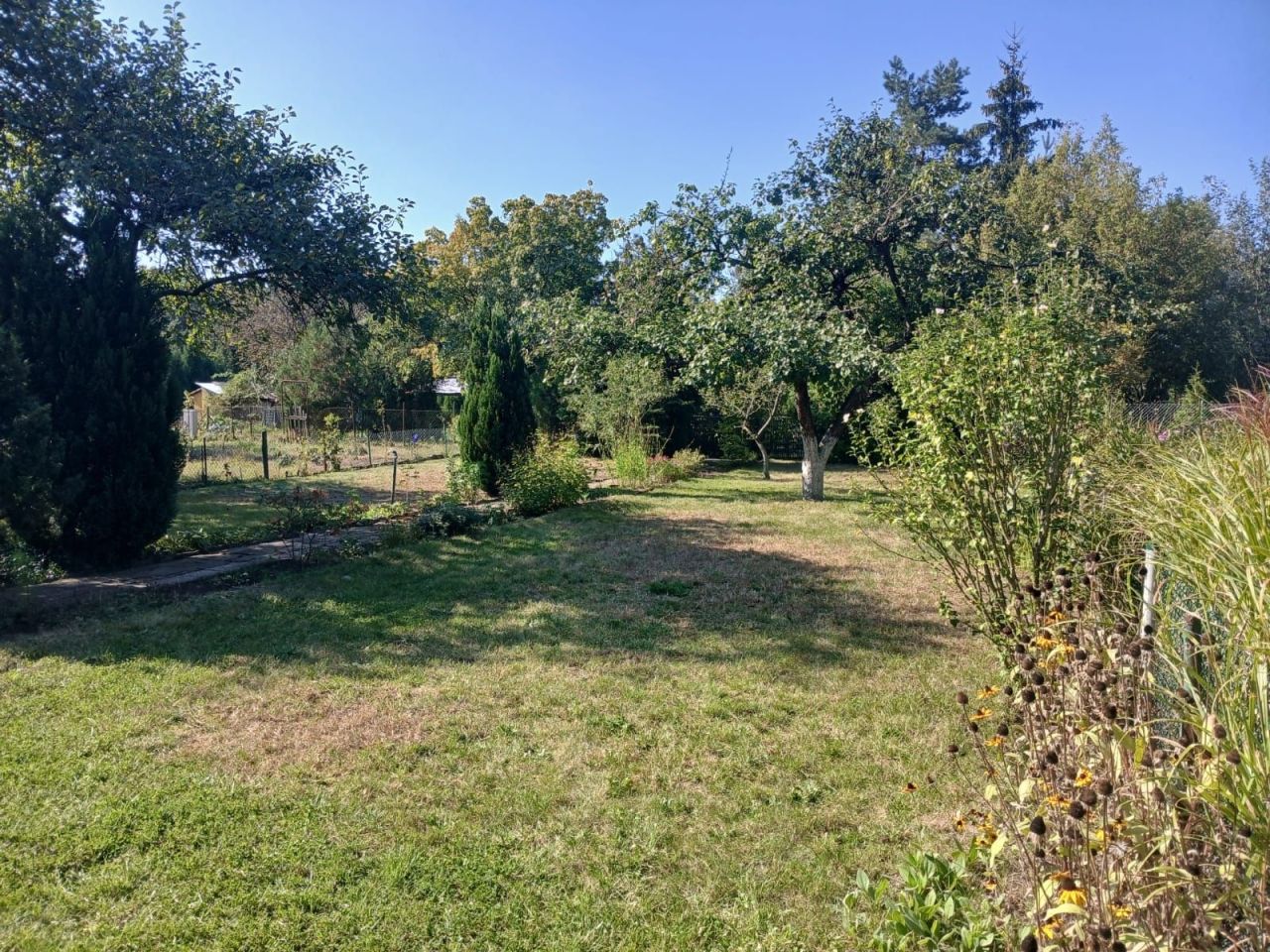 Działka rod Poznań Wilda, ul. Droga Dębińska. Zdjęcie 8