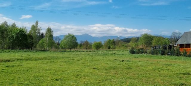 Działka inwestycyjna Karpniki. Zdjęcie 2