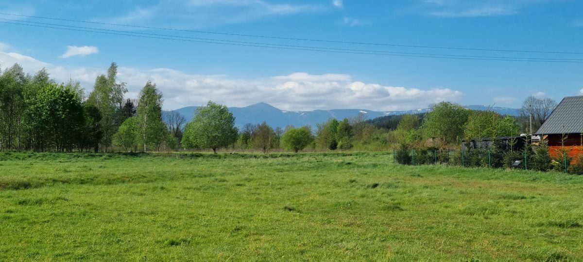 Działka inwestycyjna Karpniki. Zdjęcie 2