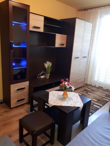 Mieszkanie 1-pokojowe Cieszyn, ul. Frysztacka. Zdjęcie 1