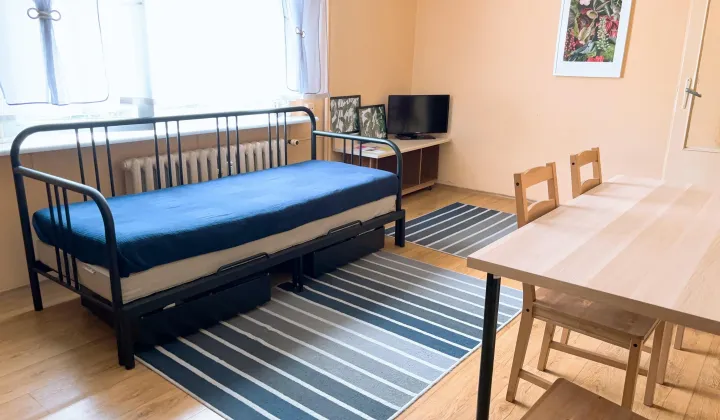 Mieszkanie 1-pokojowe Poznań Dębiec, ul. Osinowa