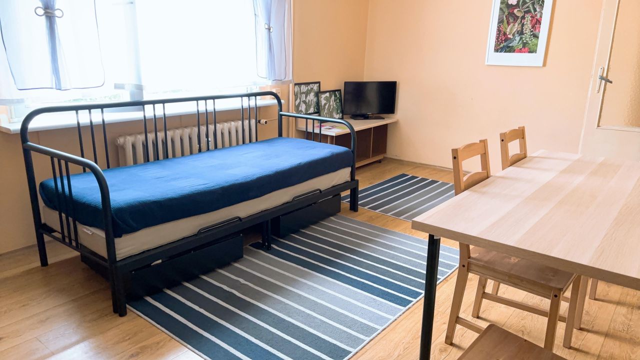 Mieszkanie 1-pokojowe Poznań Dębiec, ul. Osinowa. Zdjęcie 1