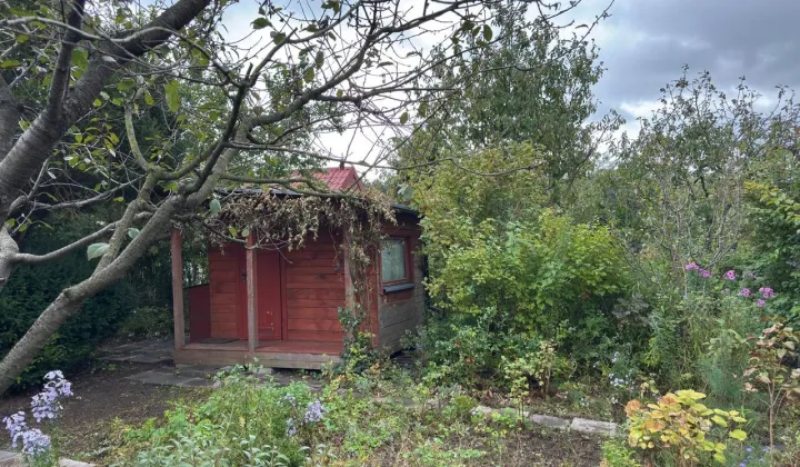 Działka rod Włocławek Lisek