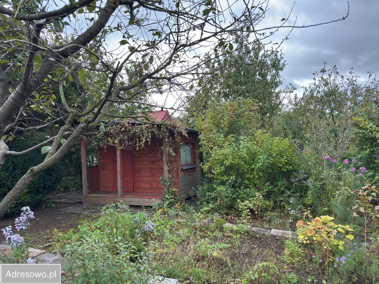 Działka rod Włocławek Lisek. Zdjęcie 1