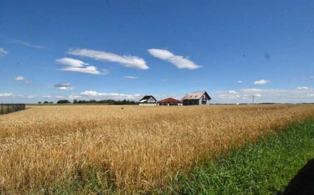 Działka budowlana Czarnolas. Zdjęcie 1