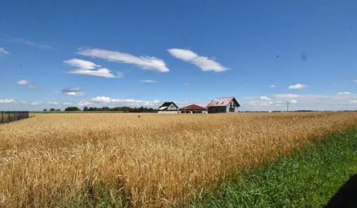 Działka budowlana Czarnolas