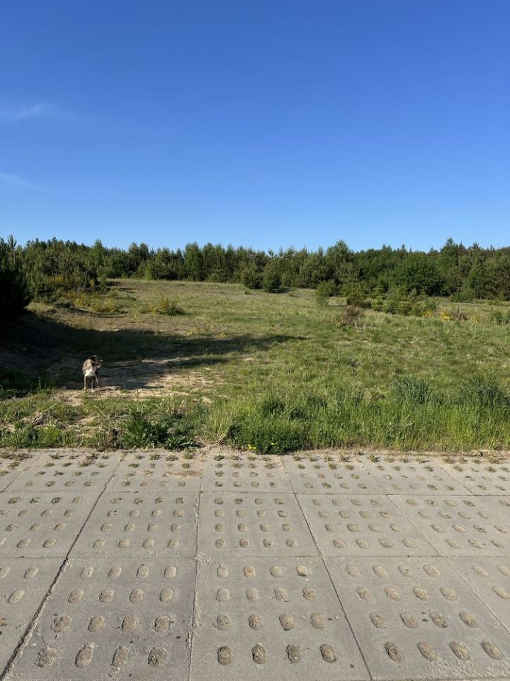 Działka budowlana Borek Kamienny. Zdjęcie 2