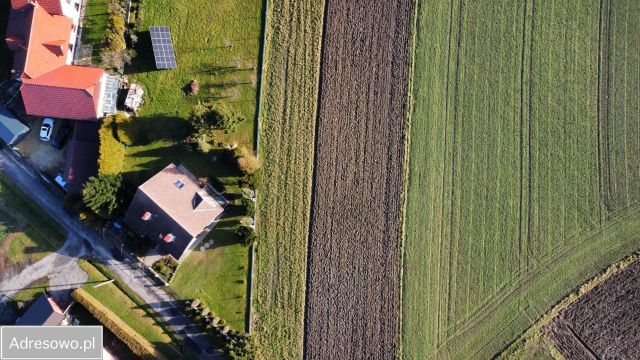 Działka budowlana Dankowice, ul. Polna. Zdjęcie 1