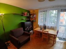 Mieszkanie 1-pokojowe Poznań Wilda, ul. Józefa Wybickiego